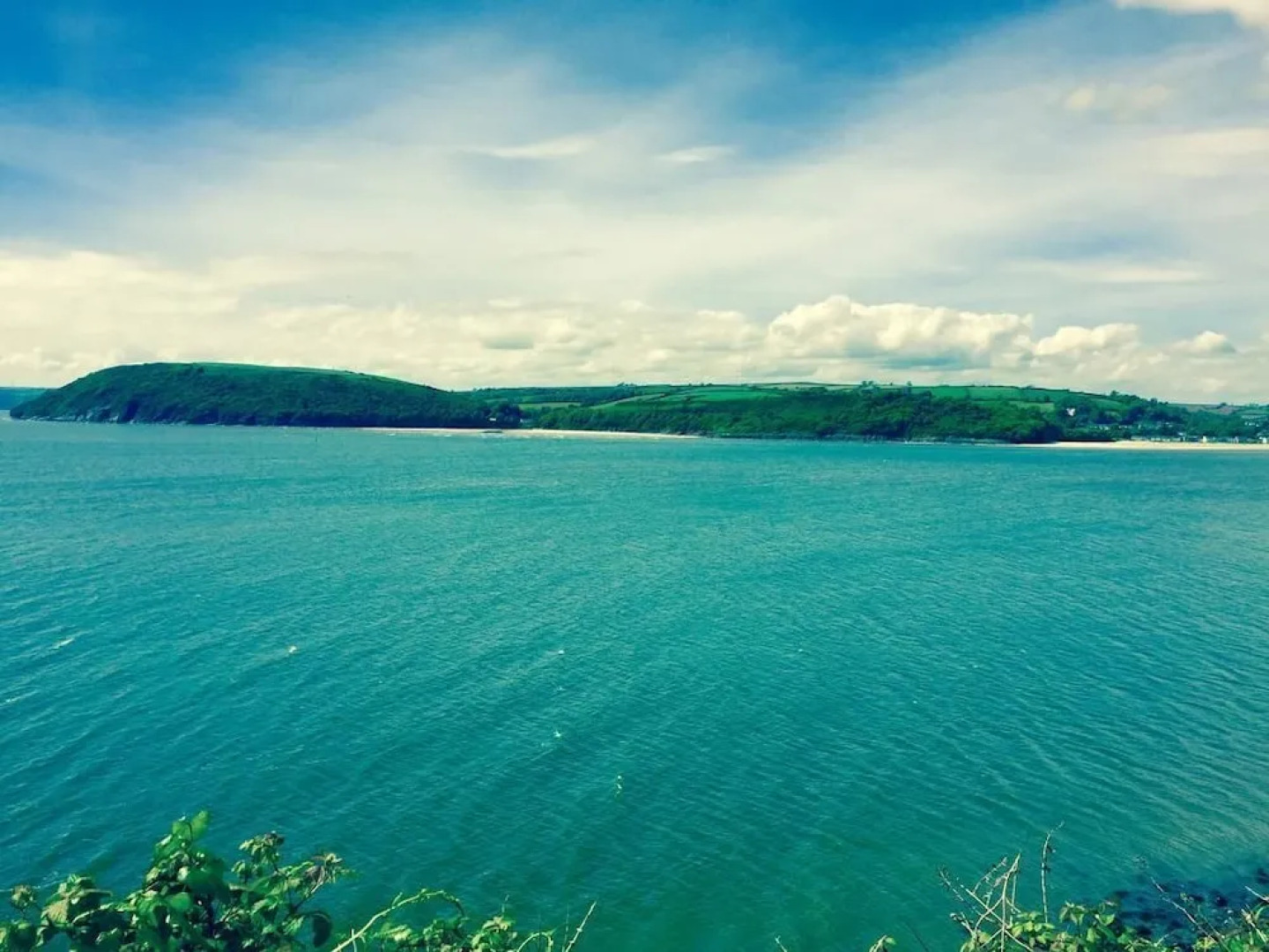 Beach Cottage near the shore