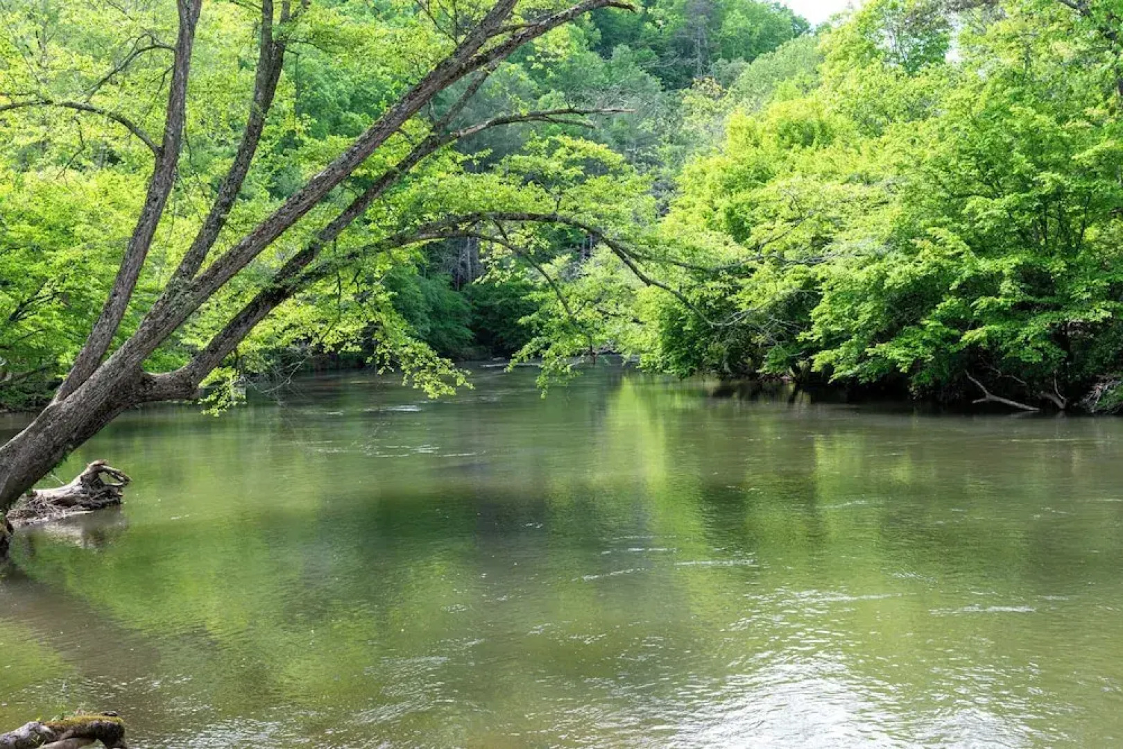 Four Bear Hideaway Coosawattee River Resort!