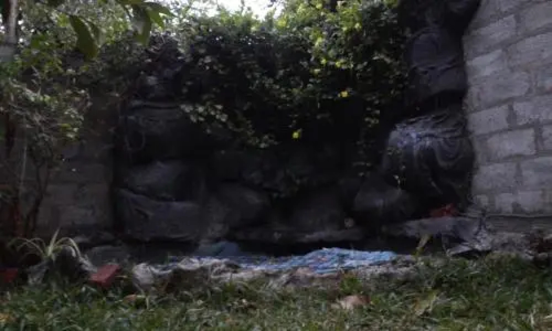 Elephant Reach Udawalawa