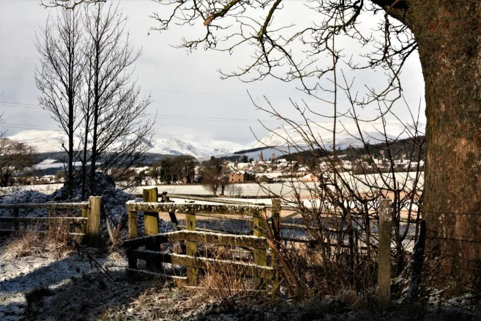 The Highlandman Station