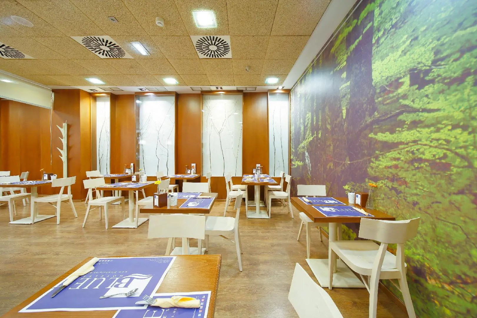 Hotel Santa Rosa, Blue Hoteles