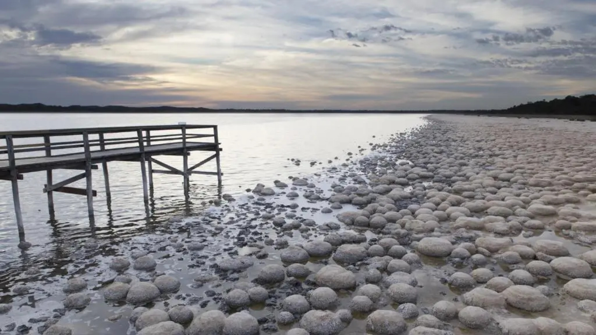 API Preston Beach Front Apartments