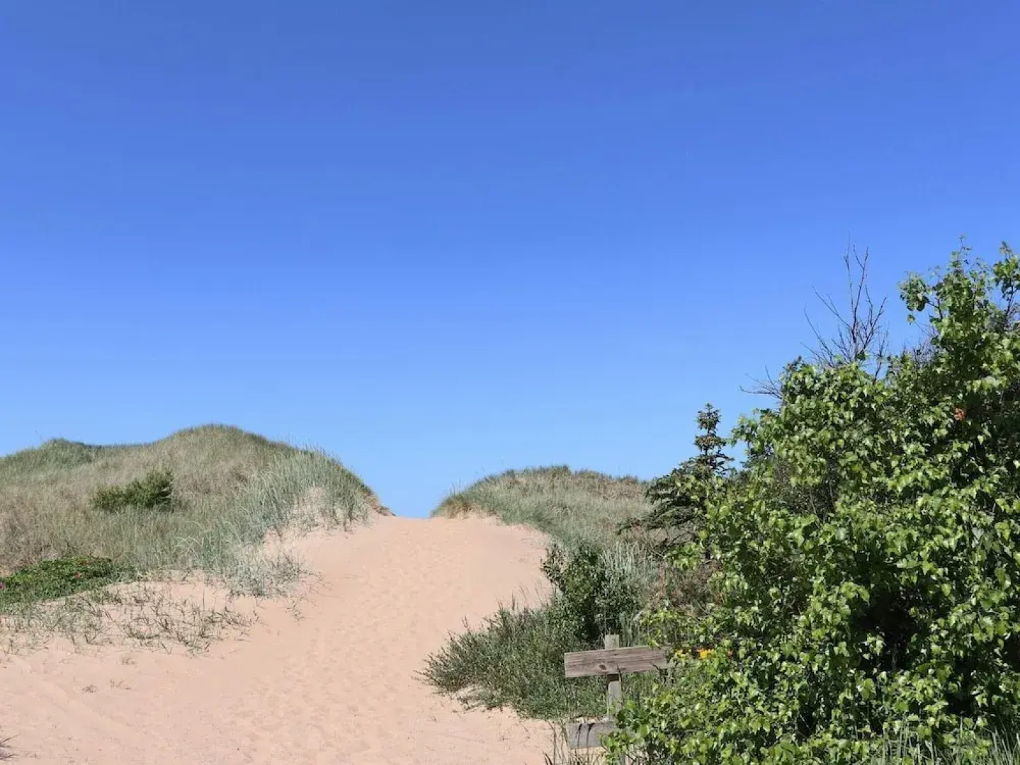 4 Star Holiday Home in Mellbystrand