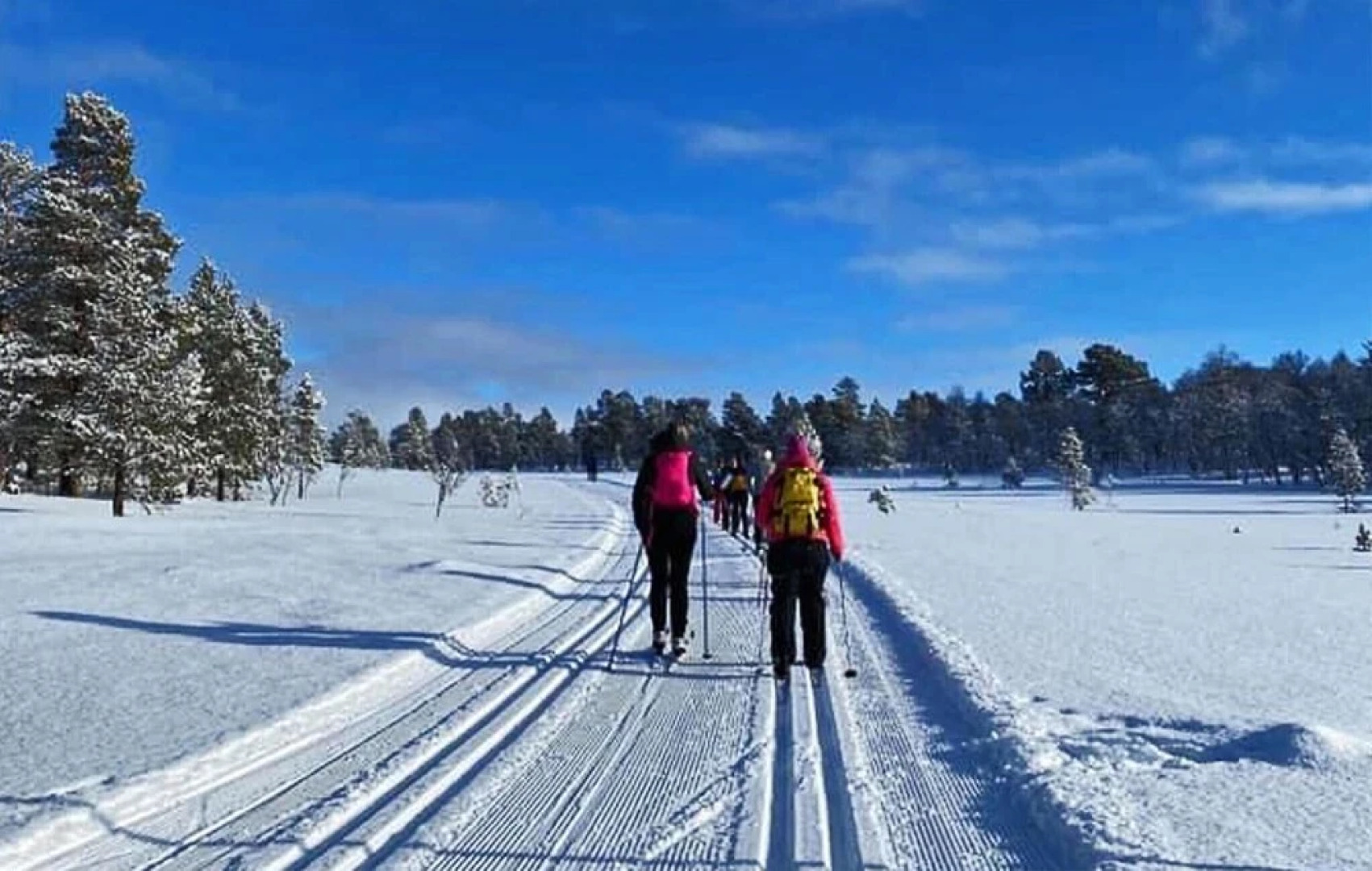 Amazing Home in Oppdal With Wifi and 4 Bedrooms