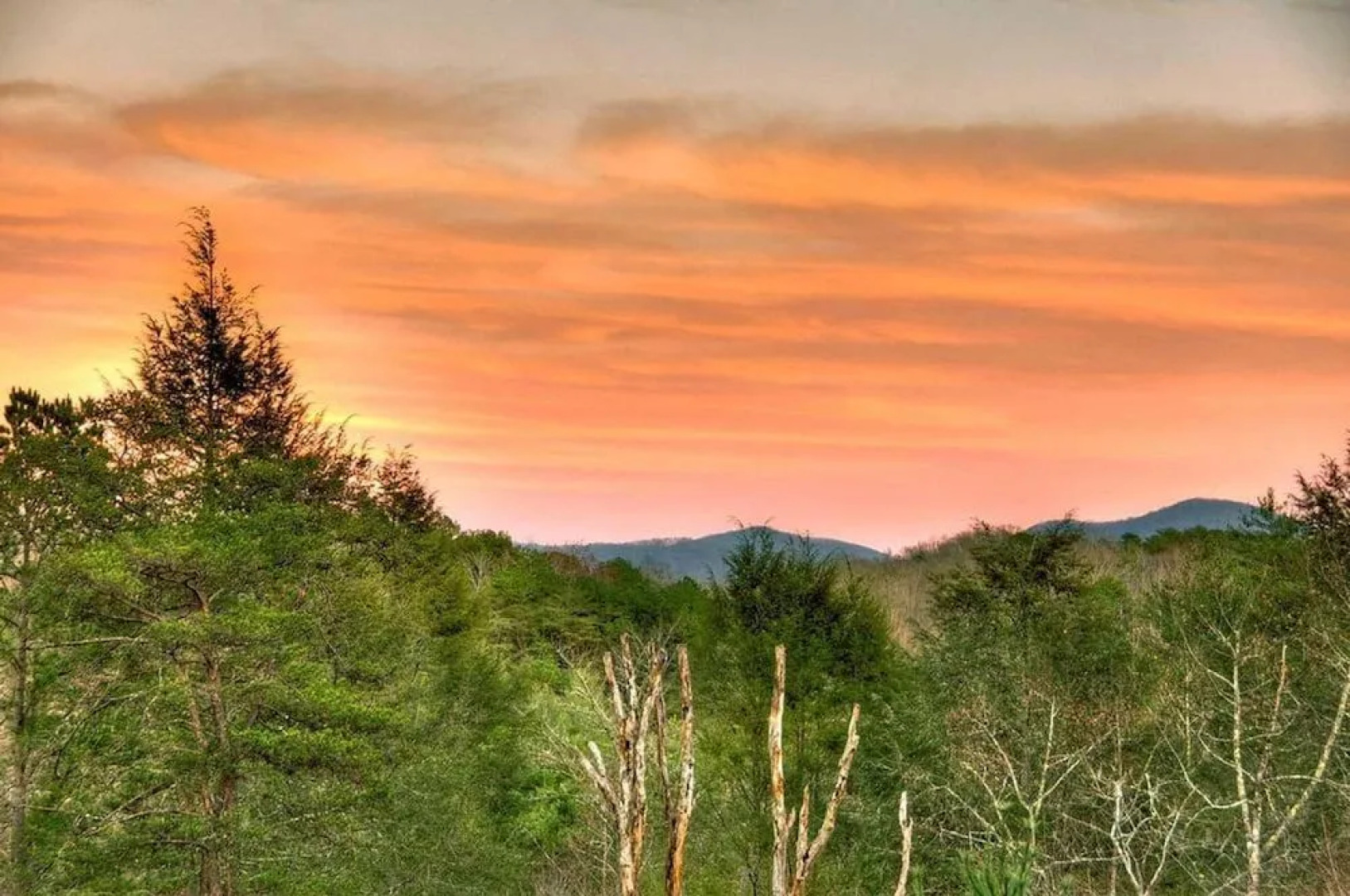 Forever Joy by Escape to Blue Ridge