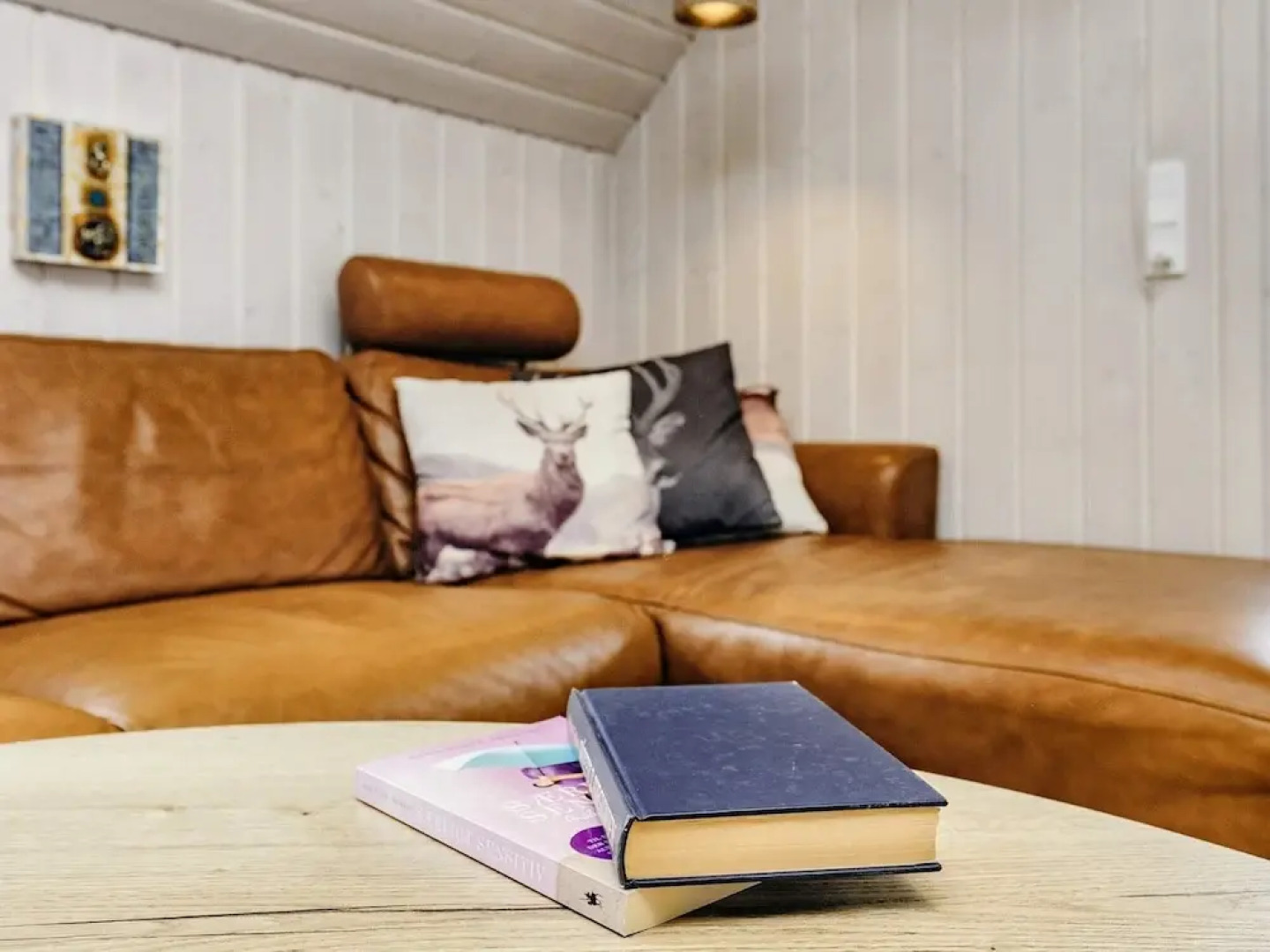 Unique Pet Friendly Holiday Home in Jerup near Sea