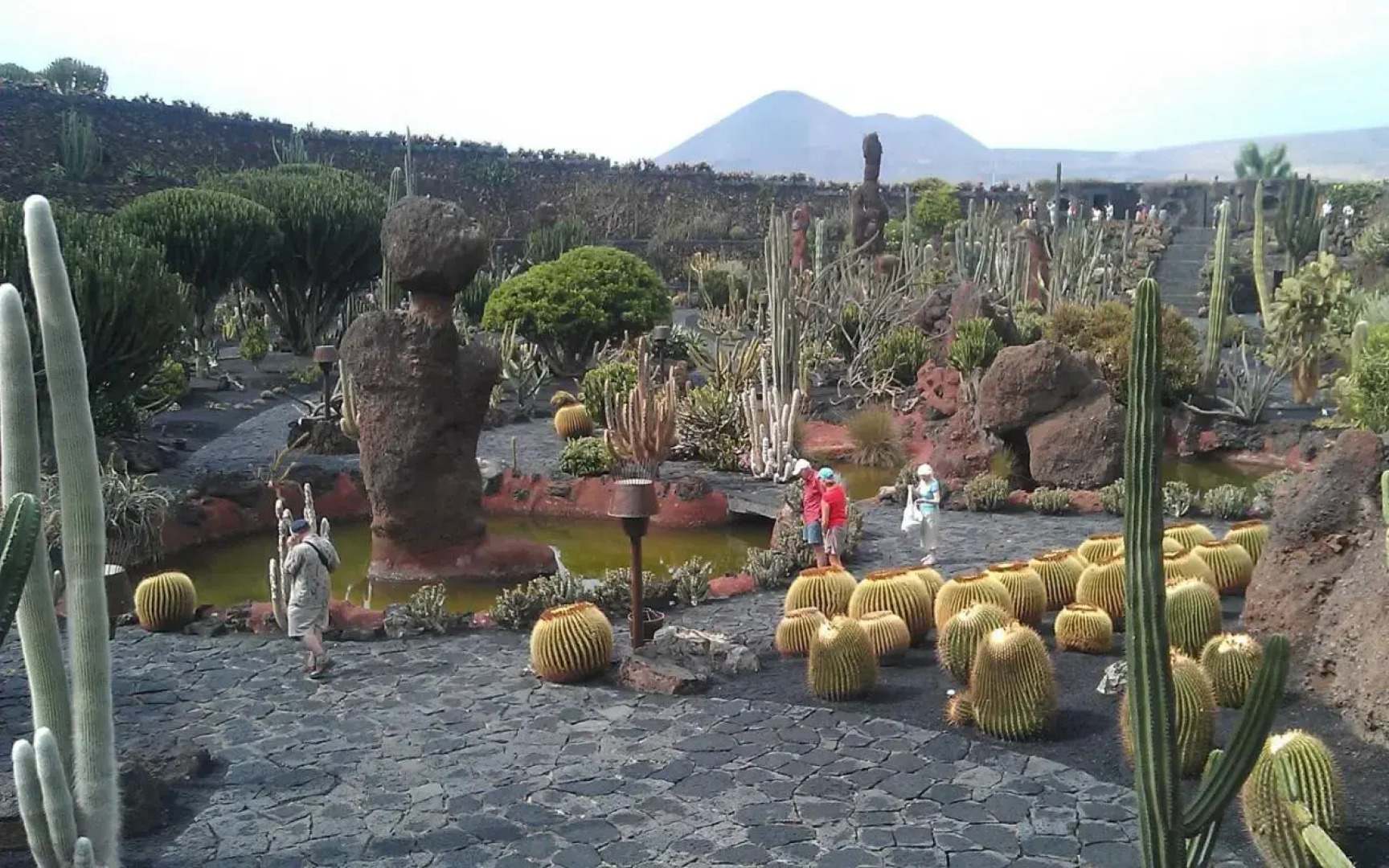 Rooms & Suites Terrace 4C