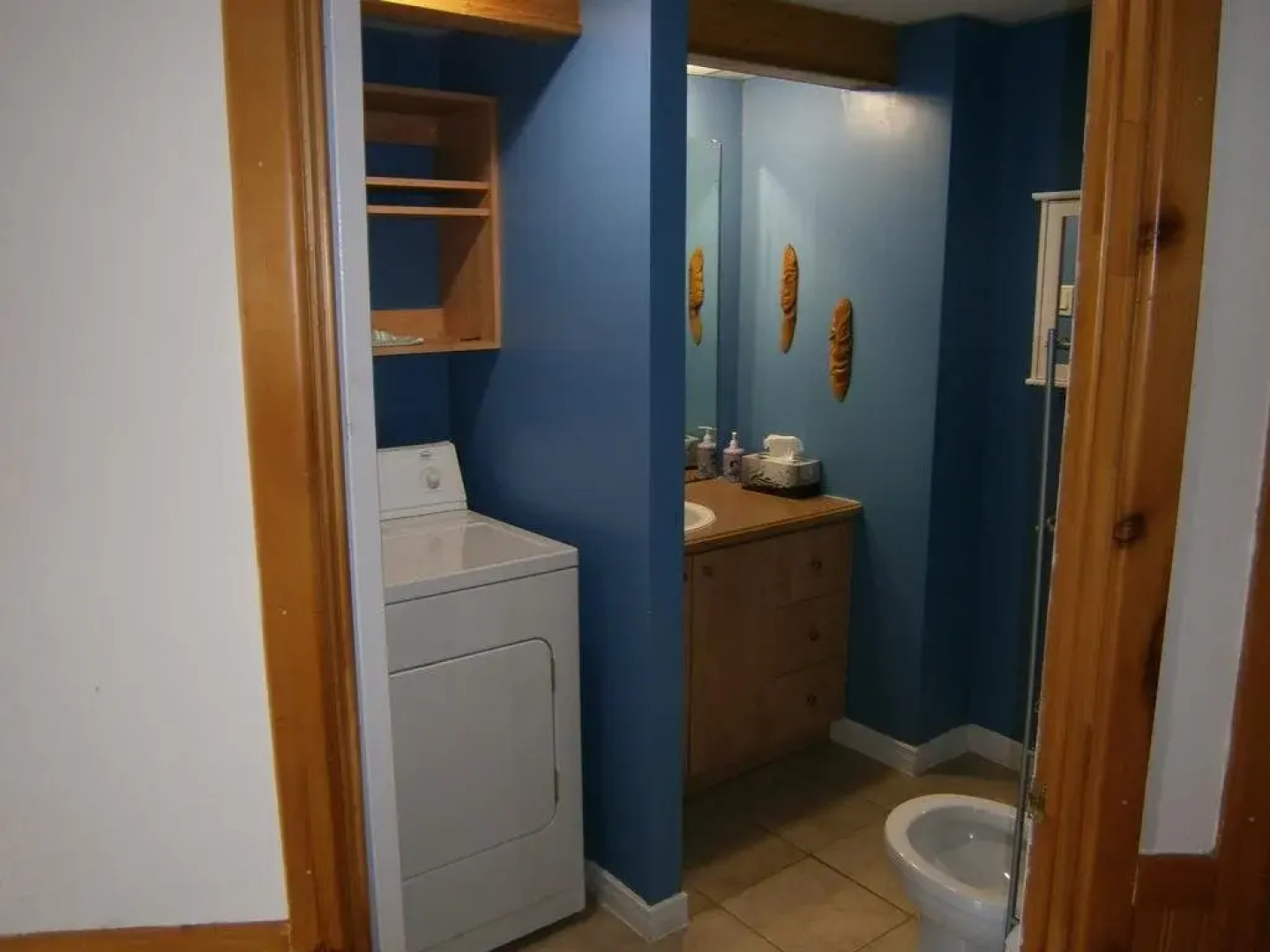 Panoramique du Fjord