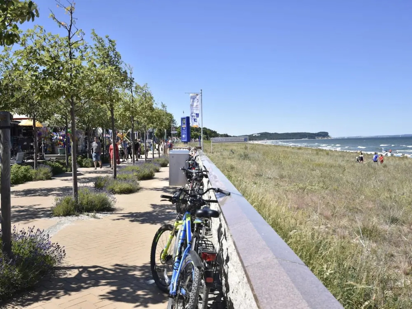Wiek Apartment With Garden