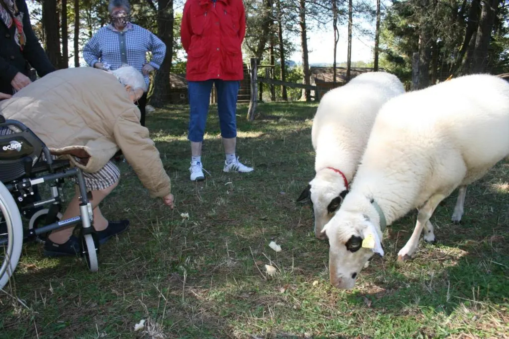 La Ptite Ferme de Caro