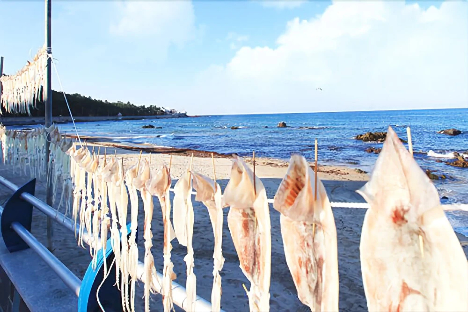 Donghae Marine Park Pension