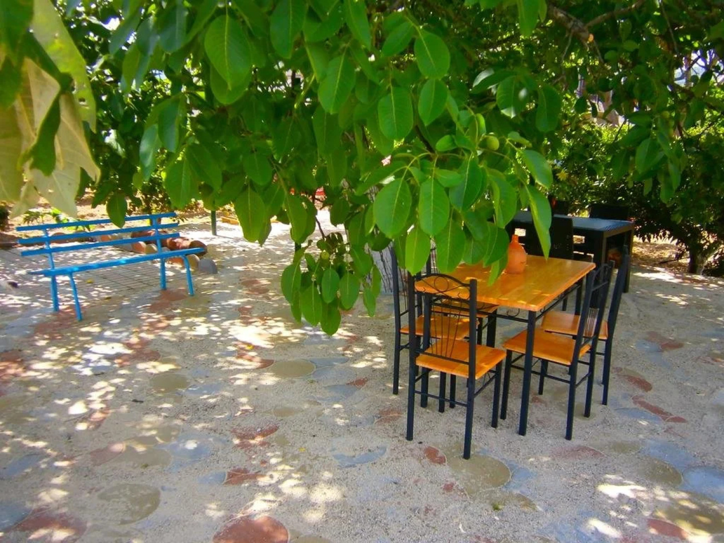 Bed and Breakfast " L Aranciera"