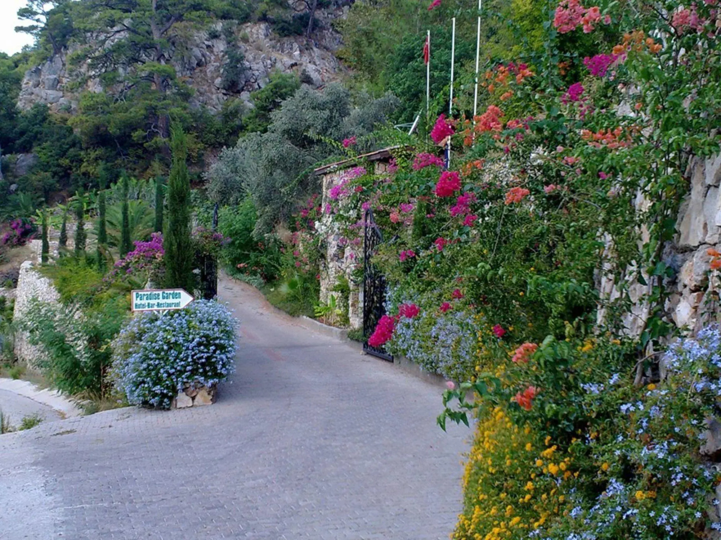 Paradise Garden Hotel