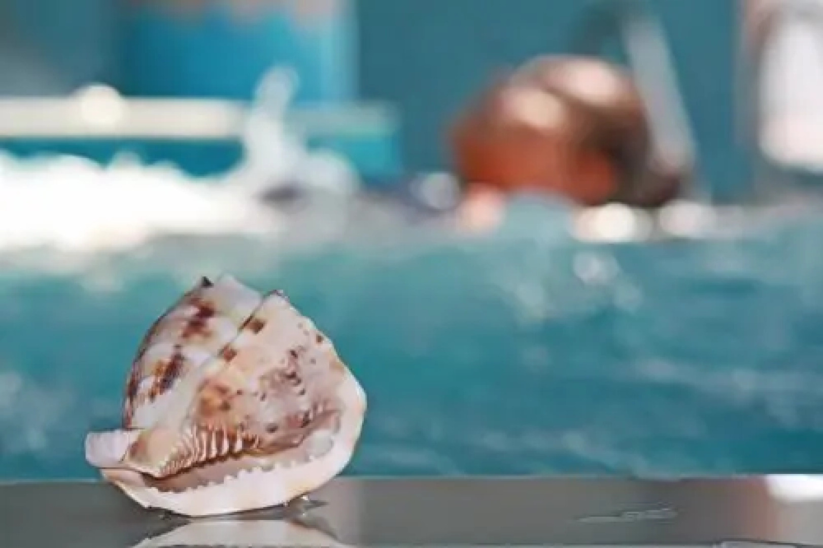 Hotel Kuźnia Napoleońska