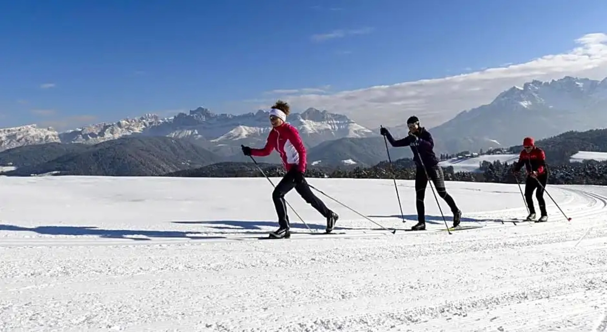 Rechenmachers Rosengarten