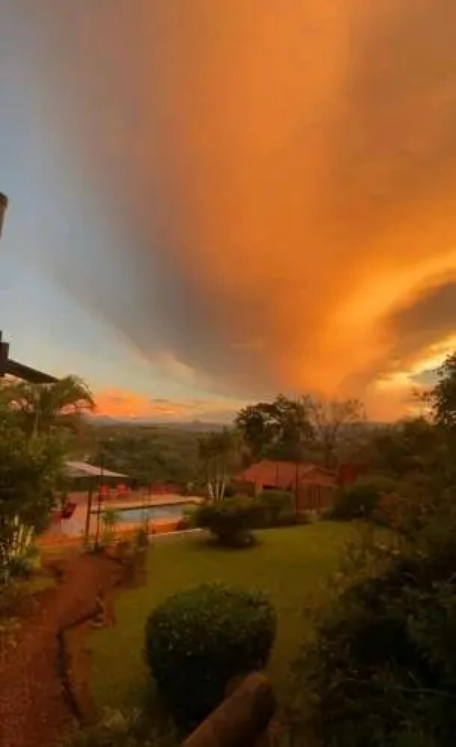 The House of Hummingbird