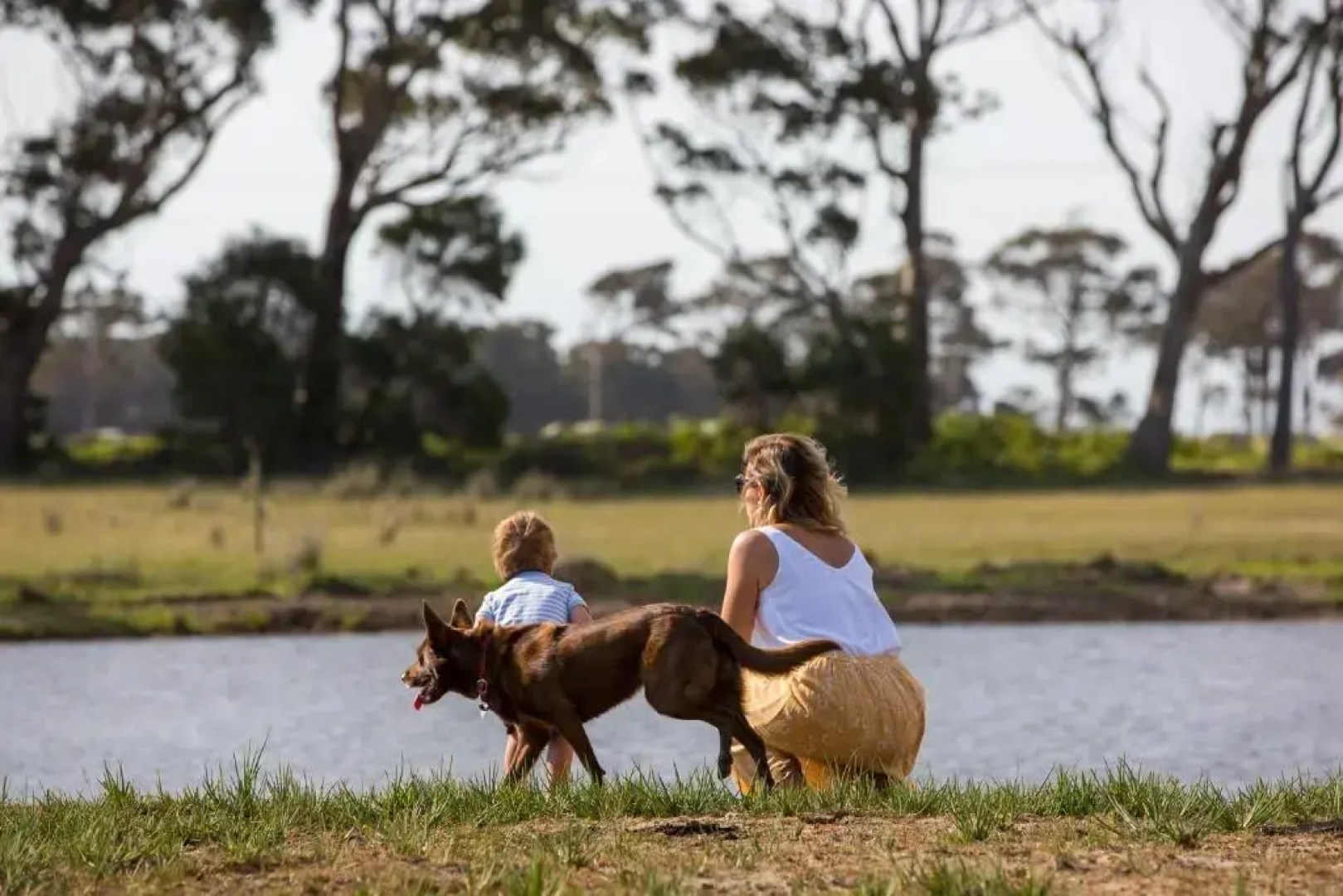 Redgate Forest Retreat