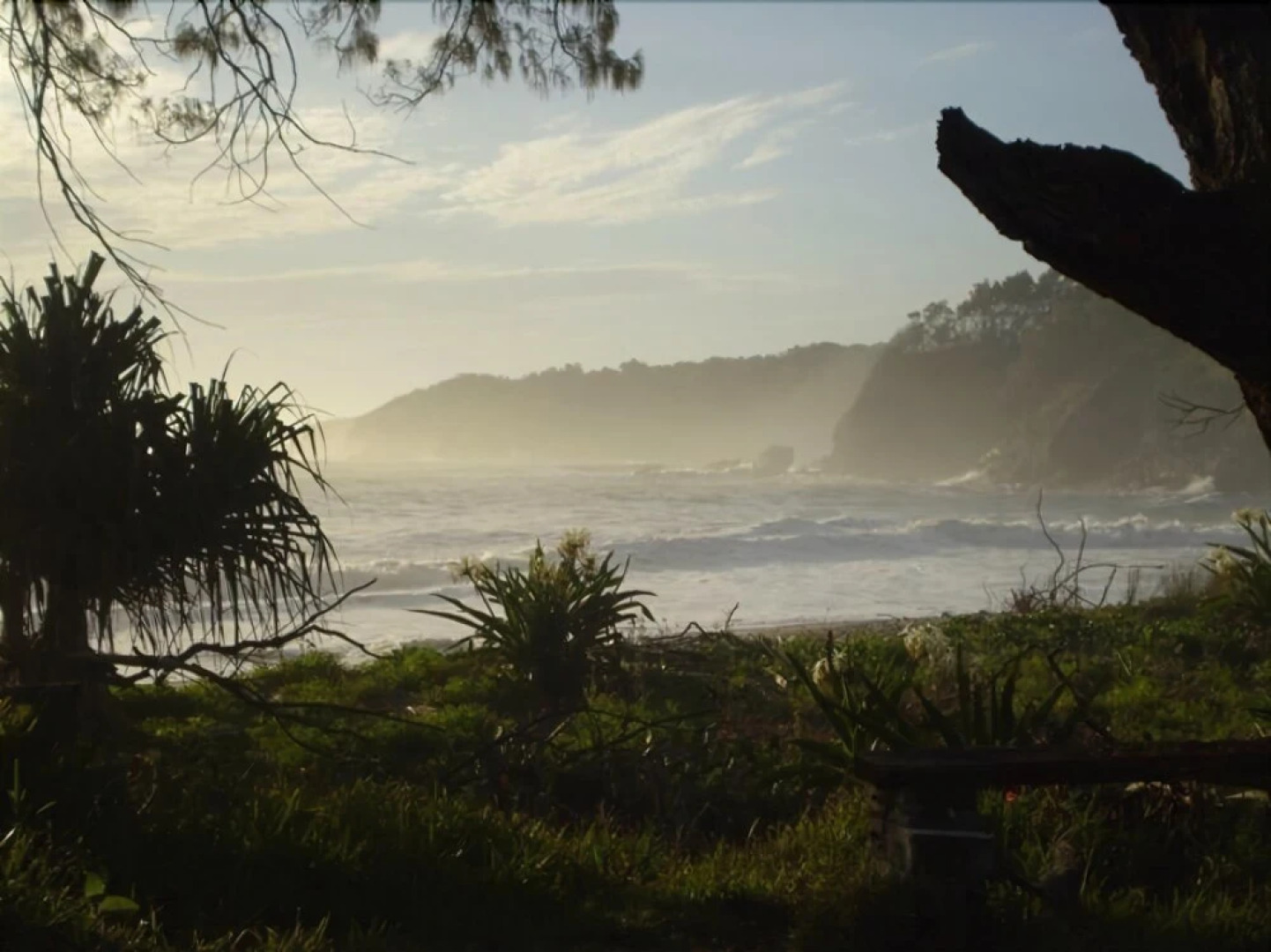 Korora Bay Beach House
