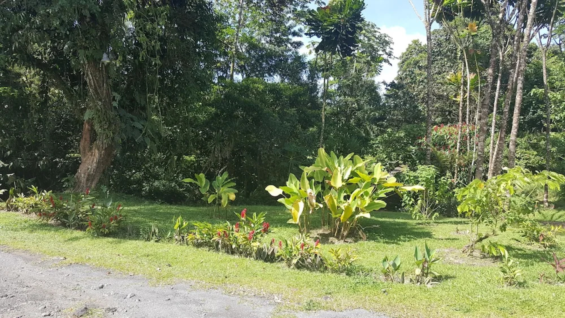 Hotel Erupciones Inn