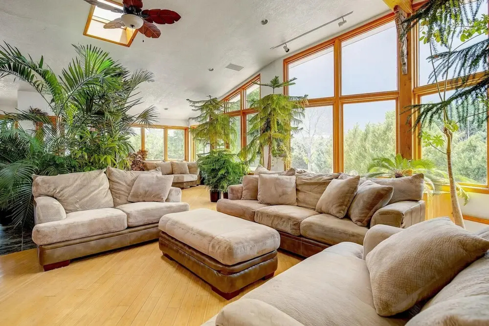 Stunning One of a Kind Tropical Zen Paradise!