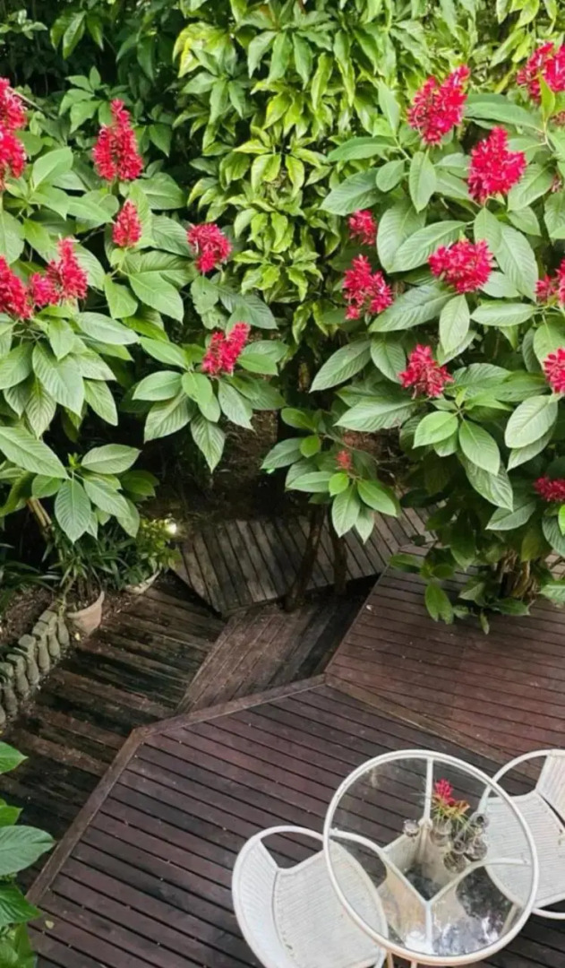 Pousada Dunas da guarda