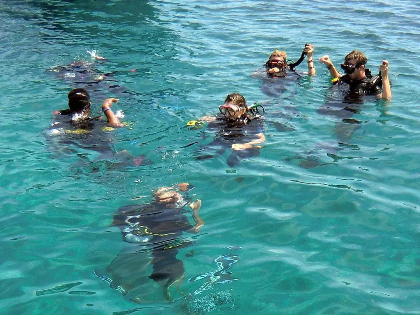 Bunaken Sea Garden Resort And Diving Center