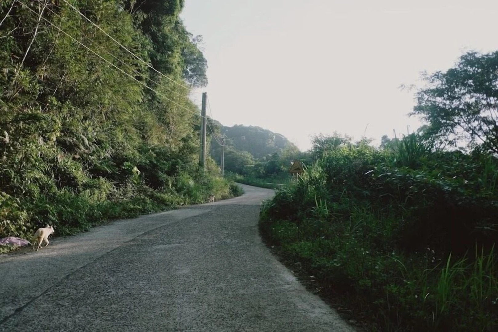 Sumvilla Homestay-Hostel