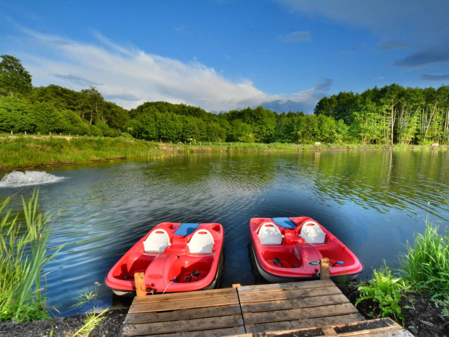 Holiday villa 470 sqm, garden 5000 sqm, Swiecianowo