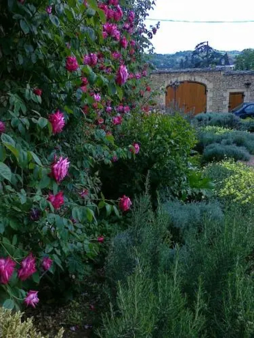 Les Terrasses Du Breuil