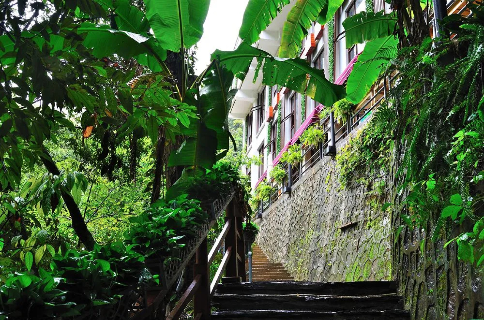 Yunzhihui Longsheng Spa Boutique Hotel