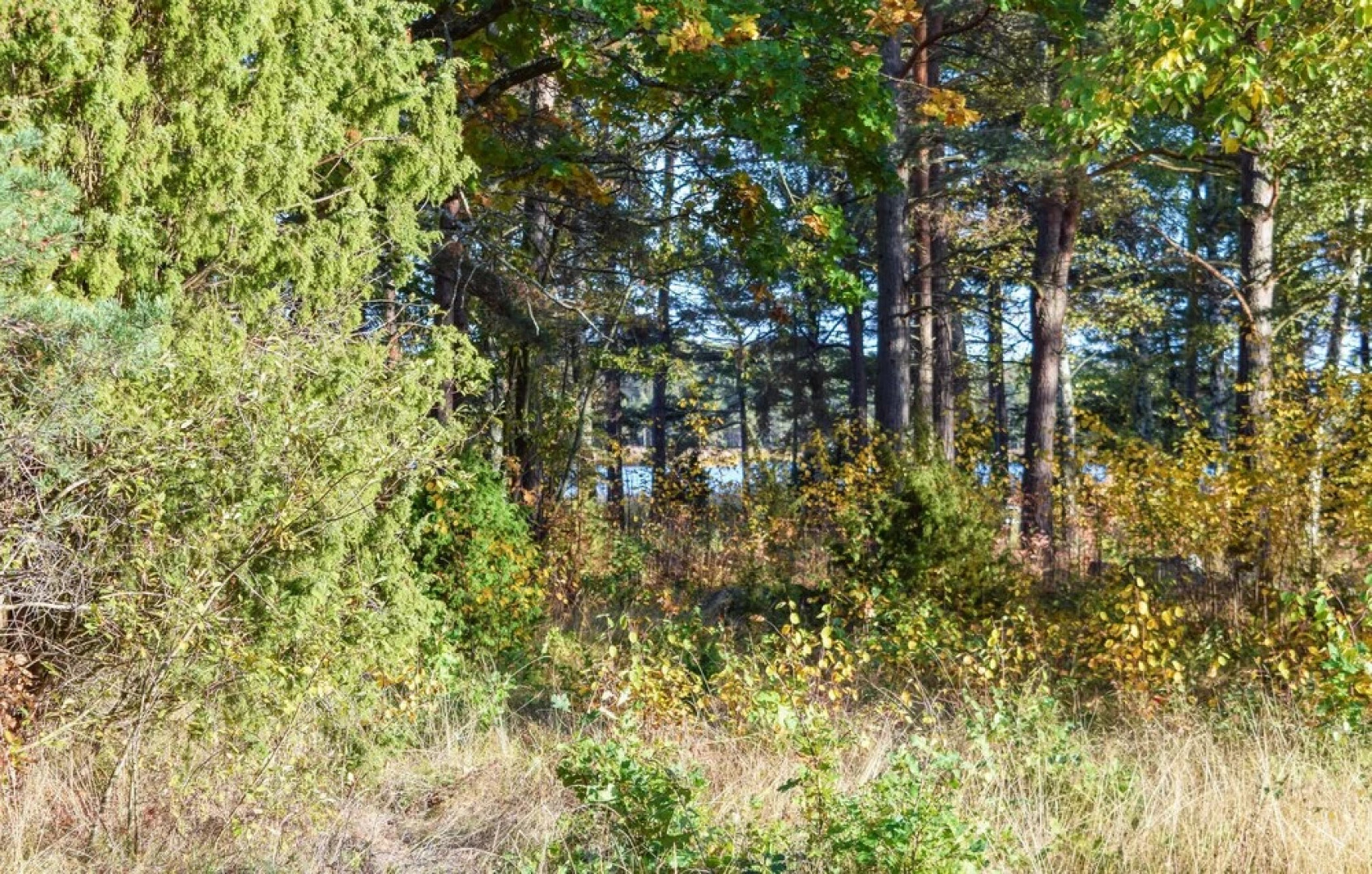 Stunning Home in Mönsterås With 3 Bedrooms and Wifi