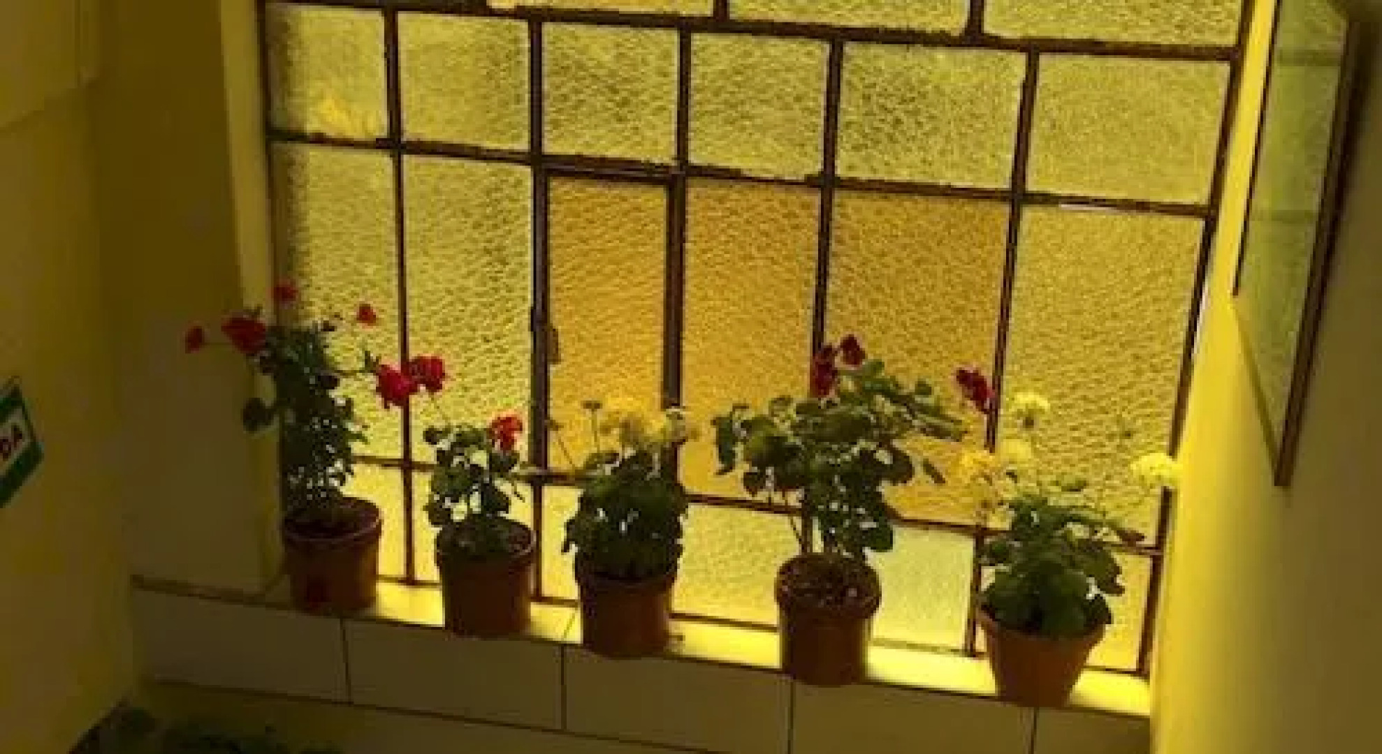 Hostal Virgen de Las Nieves