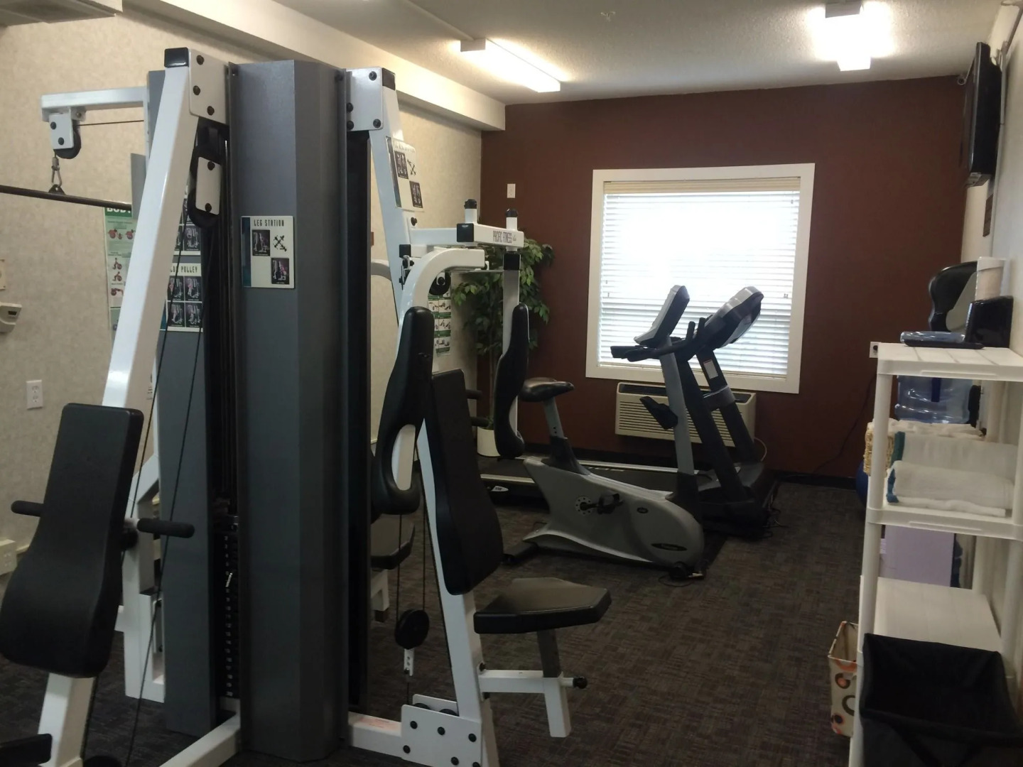 Comfort Inn & Suites Medicine Hat