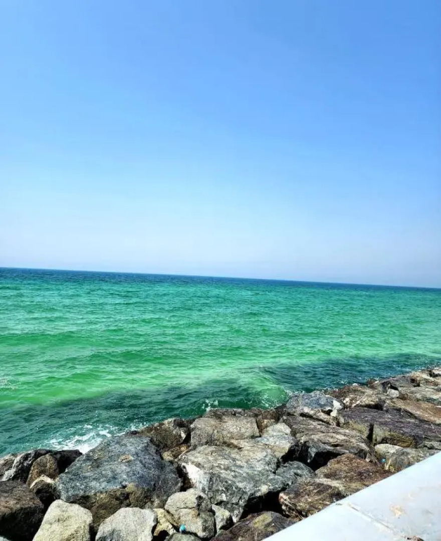 Garden Studio Apartment - 104