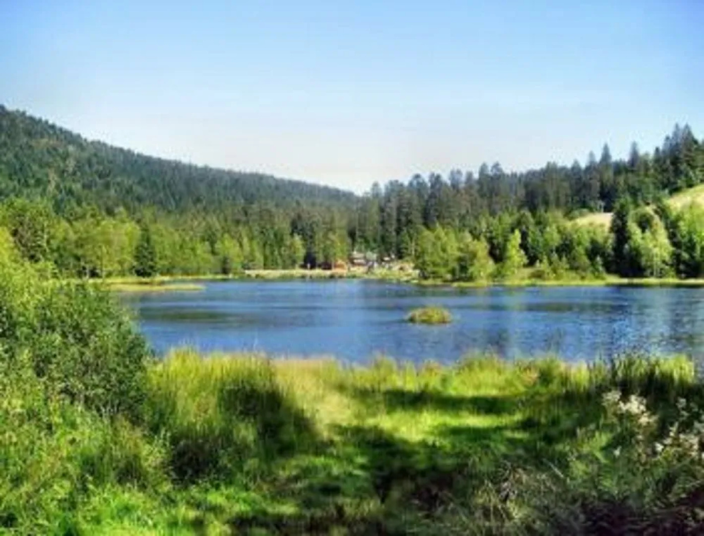 Chalet Résidence La Combeauté