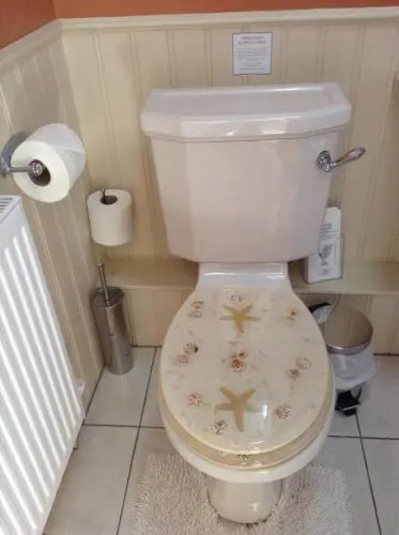 Frondderw Country House