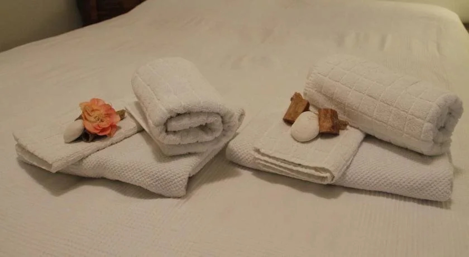 La Salvia e Il Lampone