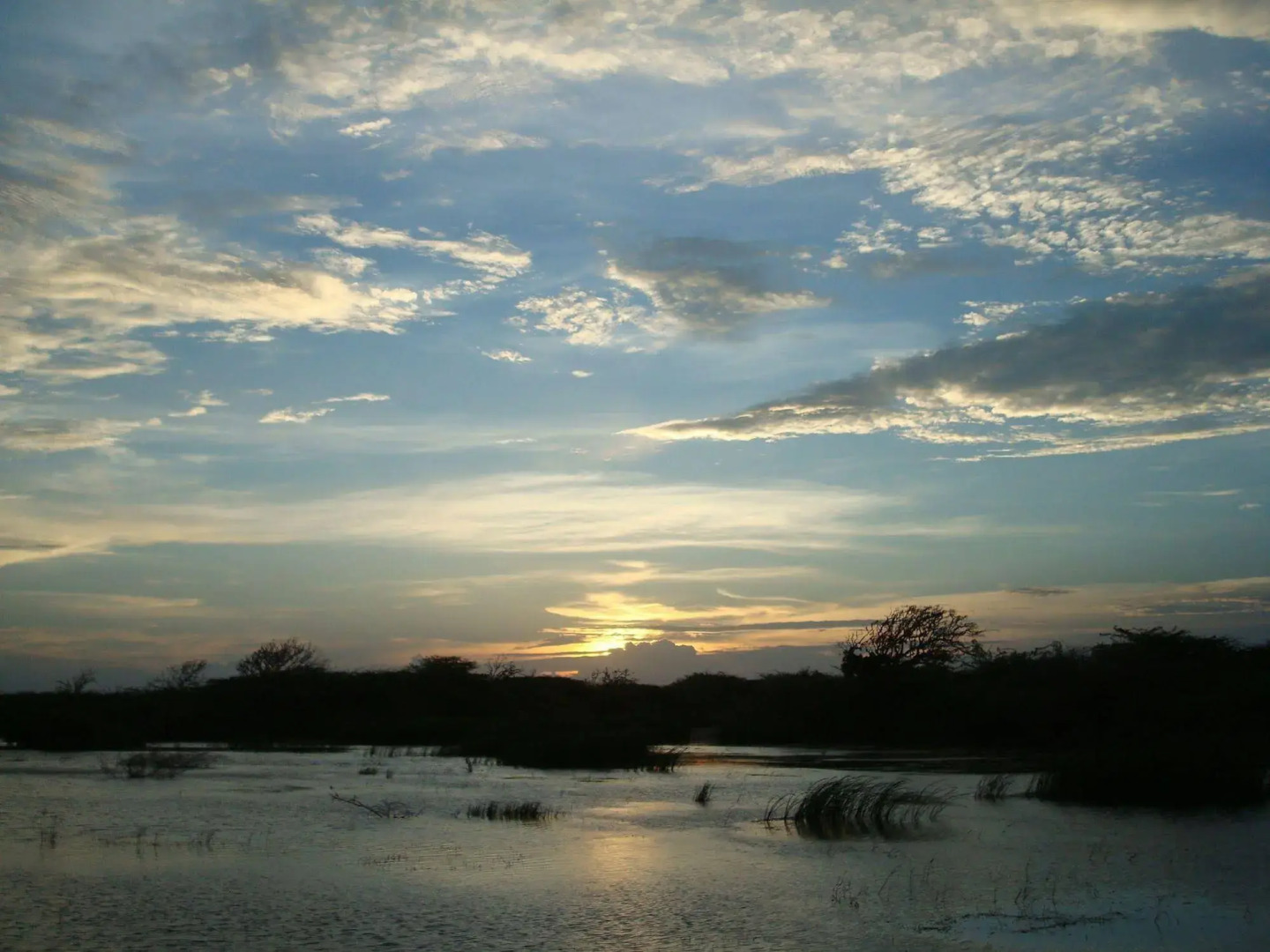 Explorer by Eco Team - Bundala