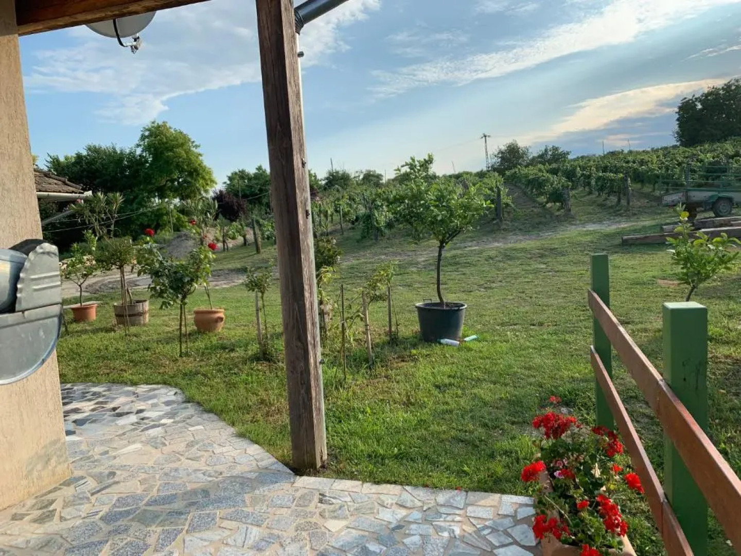 Buzál-Mórocza Pincészet és Szálláshely