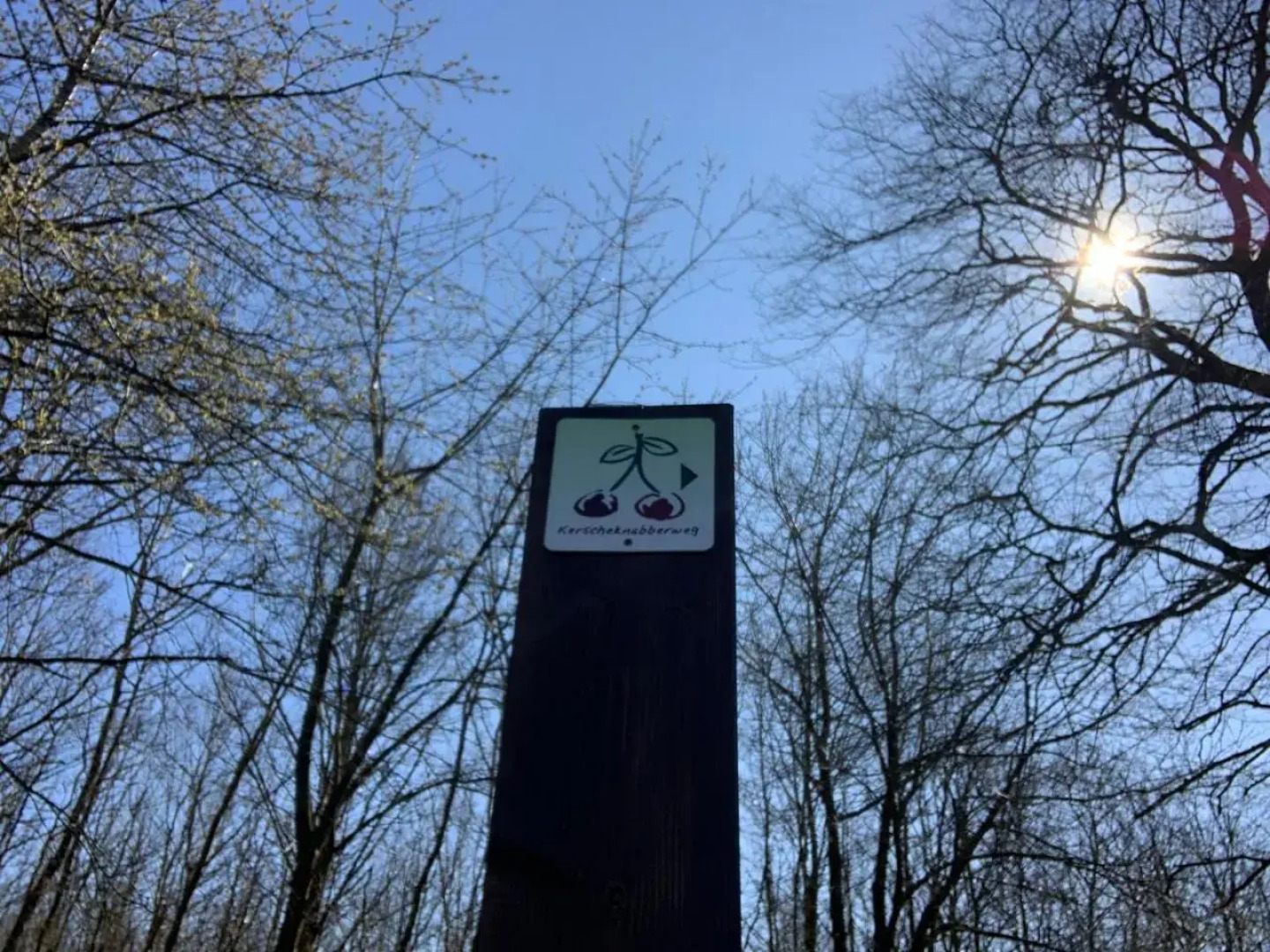 Hen Coop in Complete House Mit Optionaler Sauna