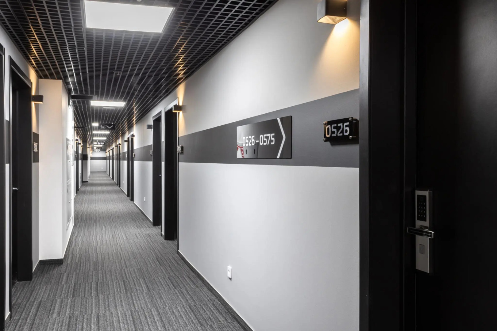 Zoom Apart (Зум Апарт)