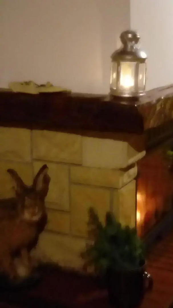 Góralska Czarcia Chata pod Jałowcem