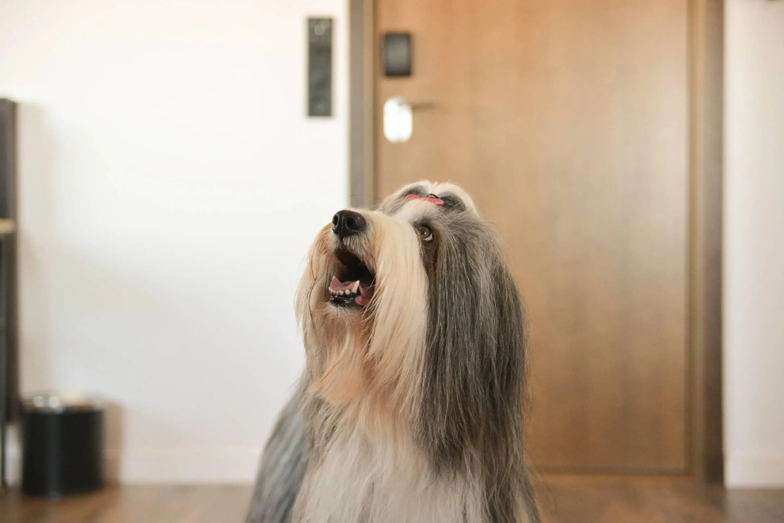 Quality Hotel the Mill