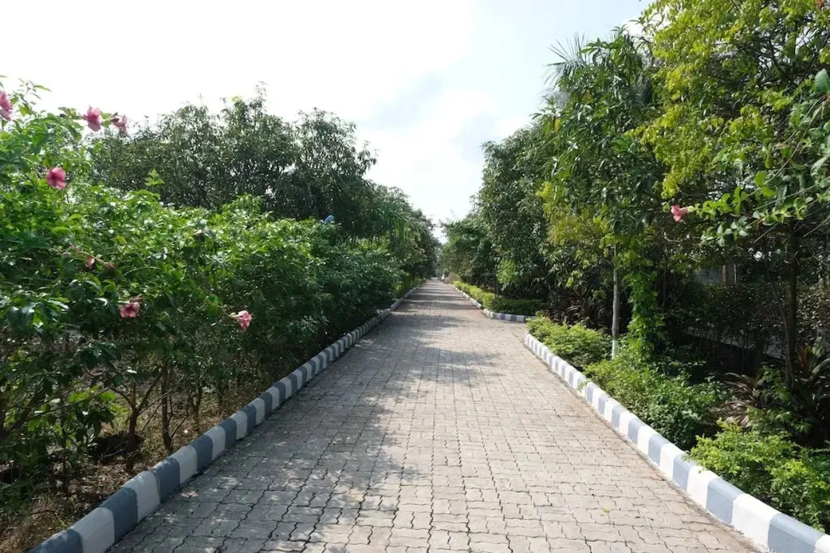 Sukh Sagar Gir Resort