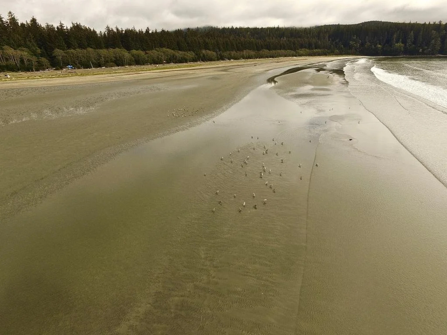 Kingfisher Lodge and Marina