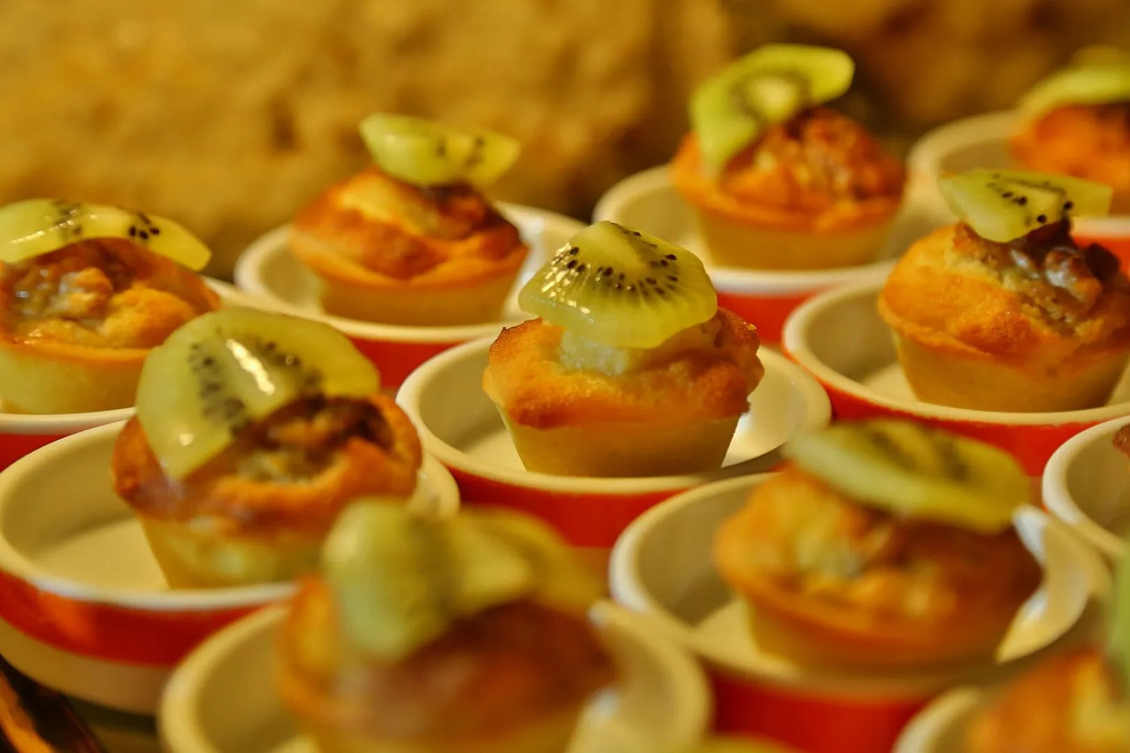 Salt Lick Safari Lodge