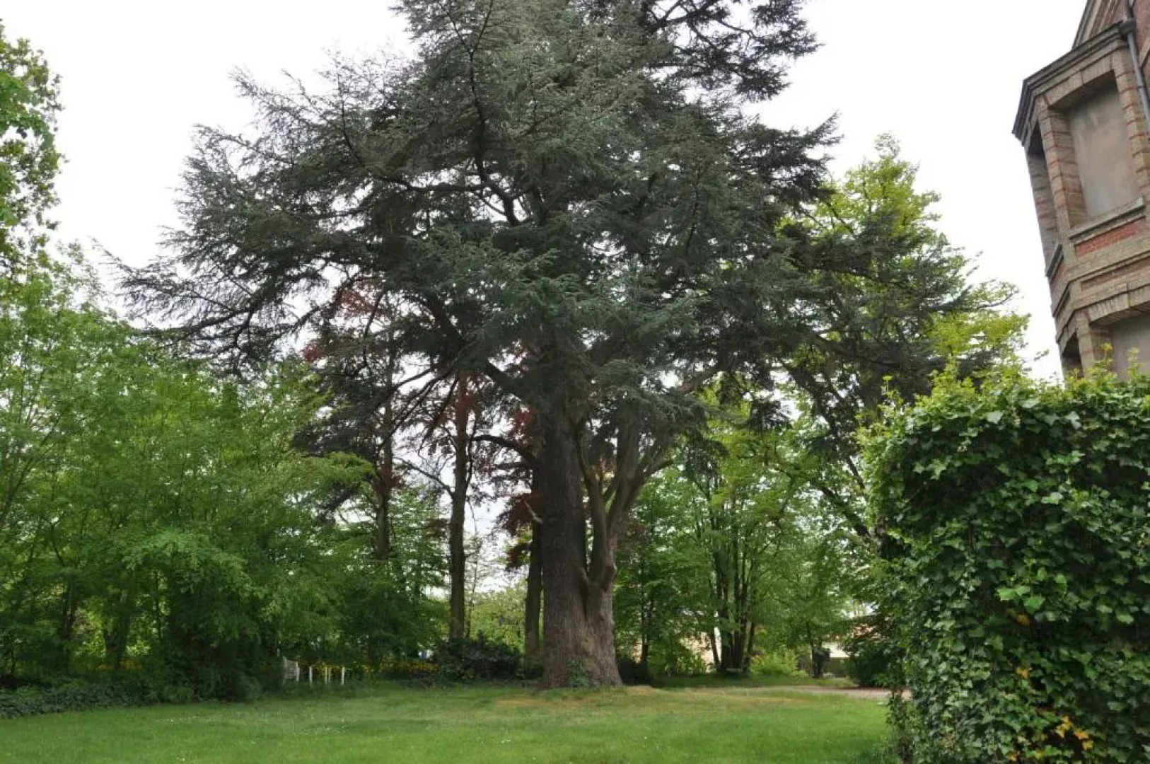 Château De La Croix Bizet