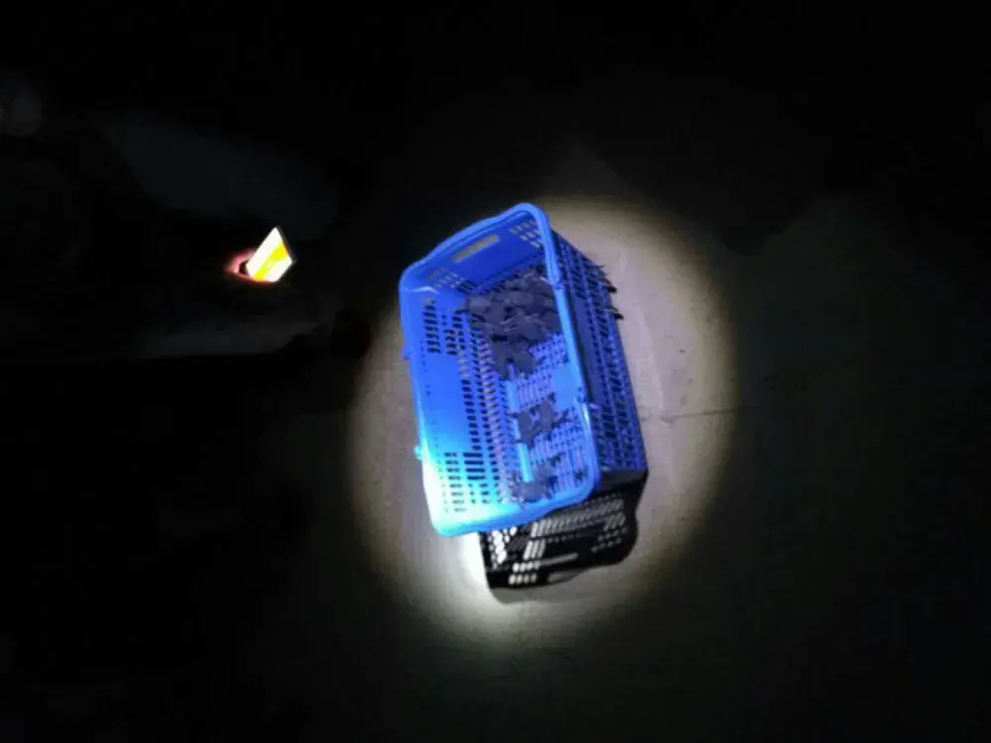 山打根灵岸龟岛酒店(Selingan Turtle Island Resort Sandakan)