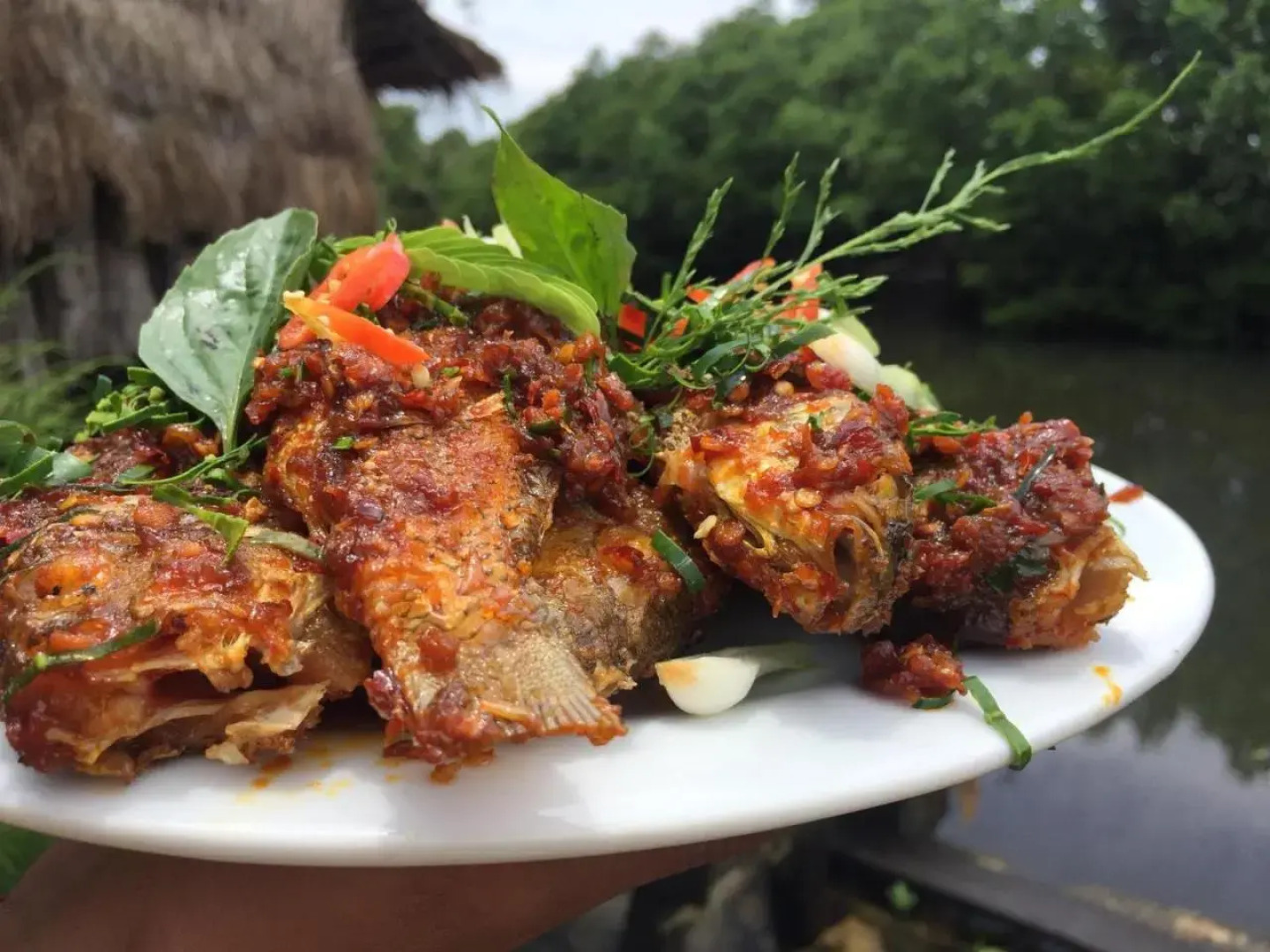 Sea House Guest House