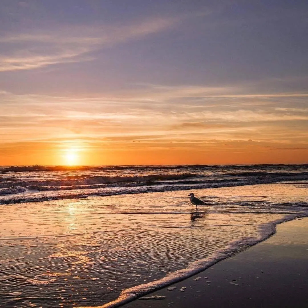 Coco Beach Hotel on South Padre Island